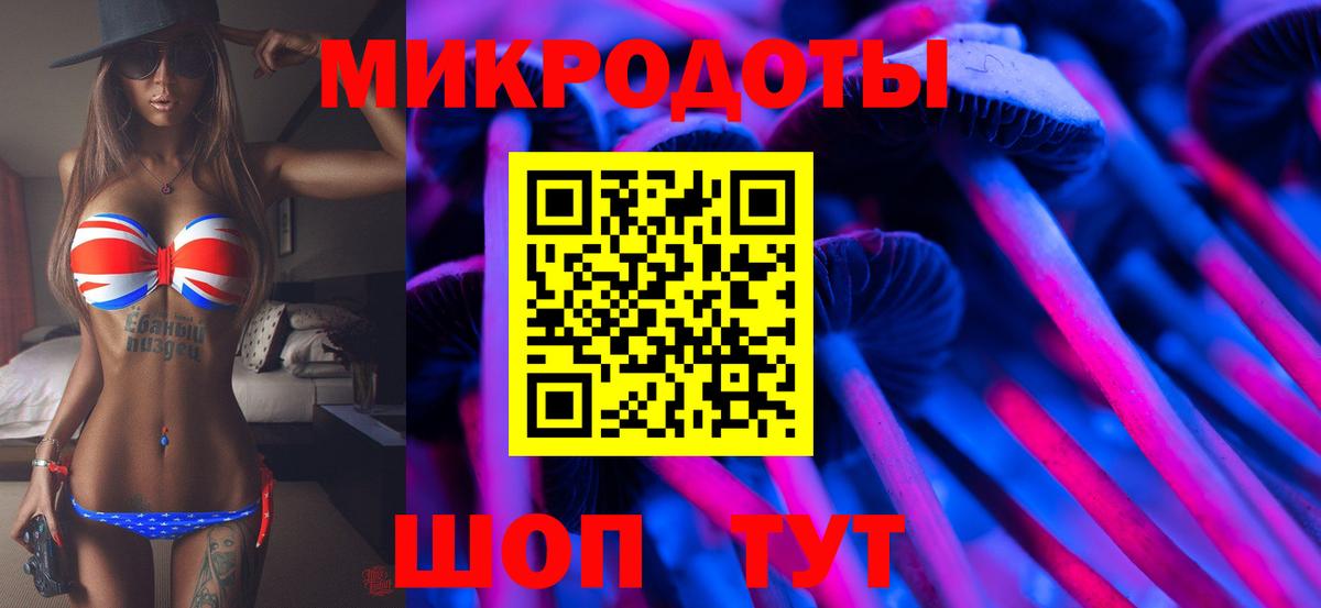 Галлюциногенные грибы Psilocybe  Вход с VPN  Зерноград 